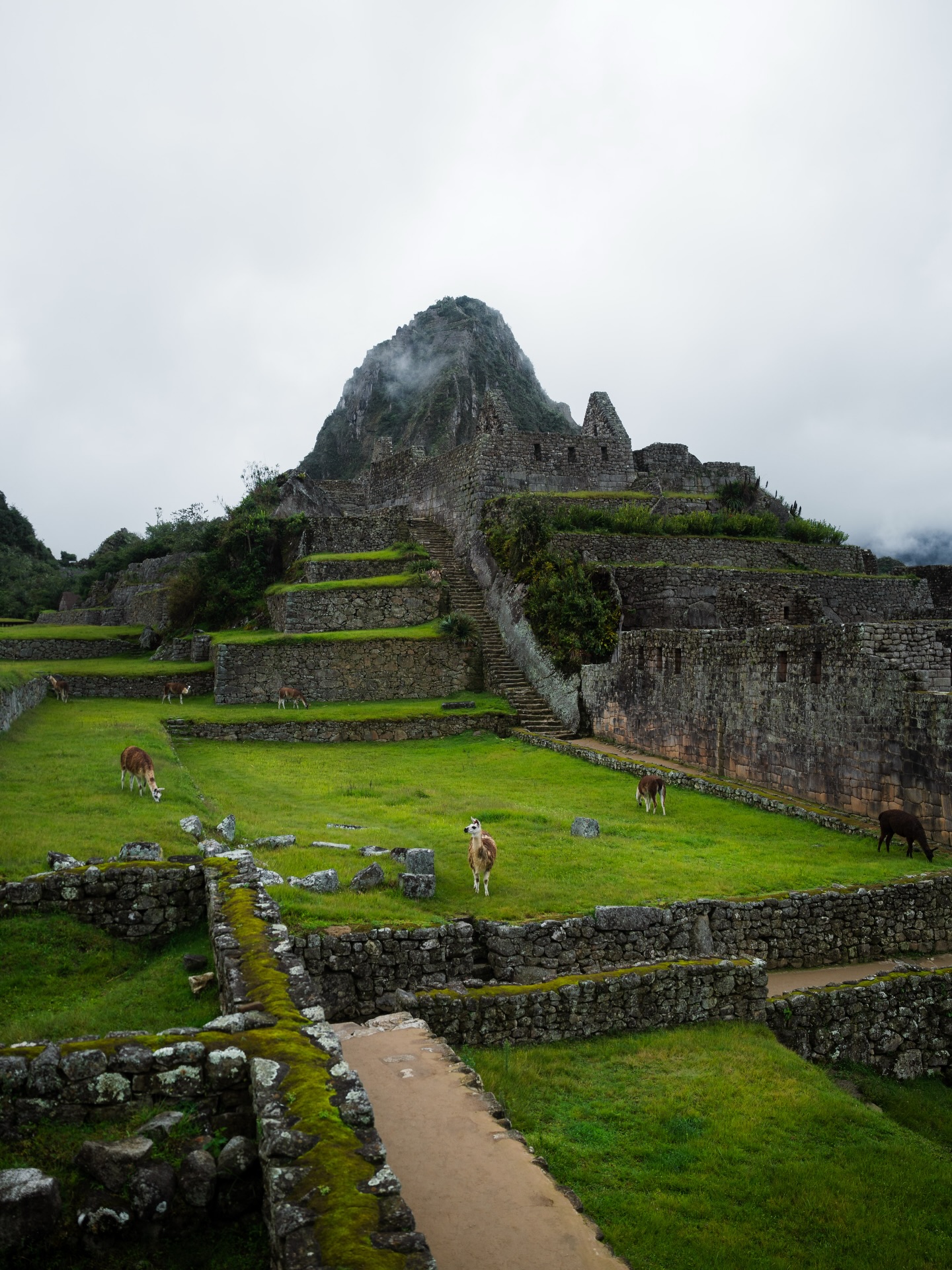 Turistas caminando por los senderos de piedra de Machu Picchu