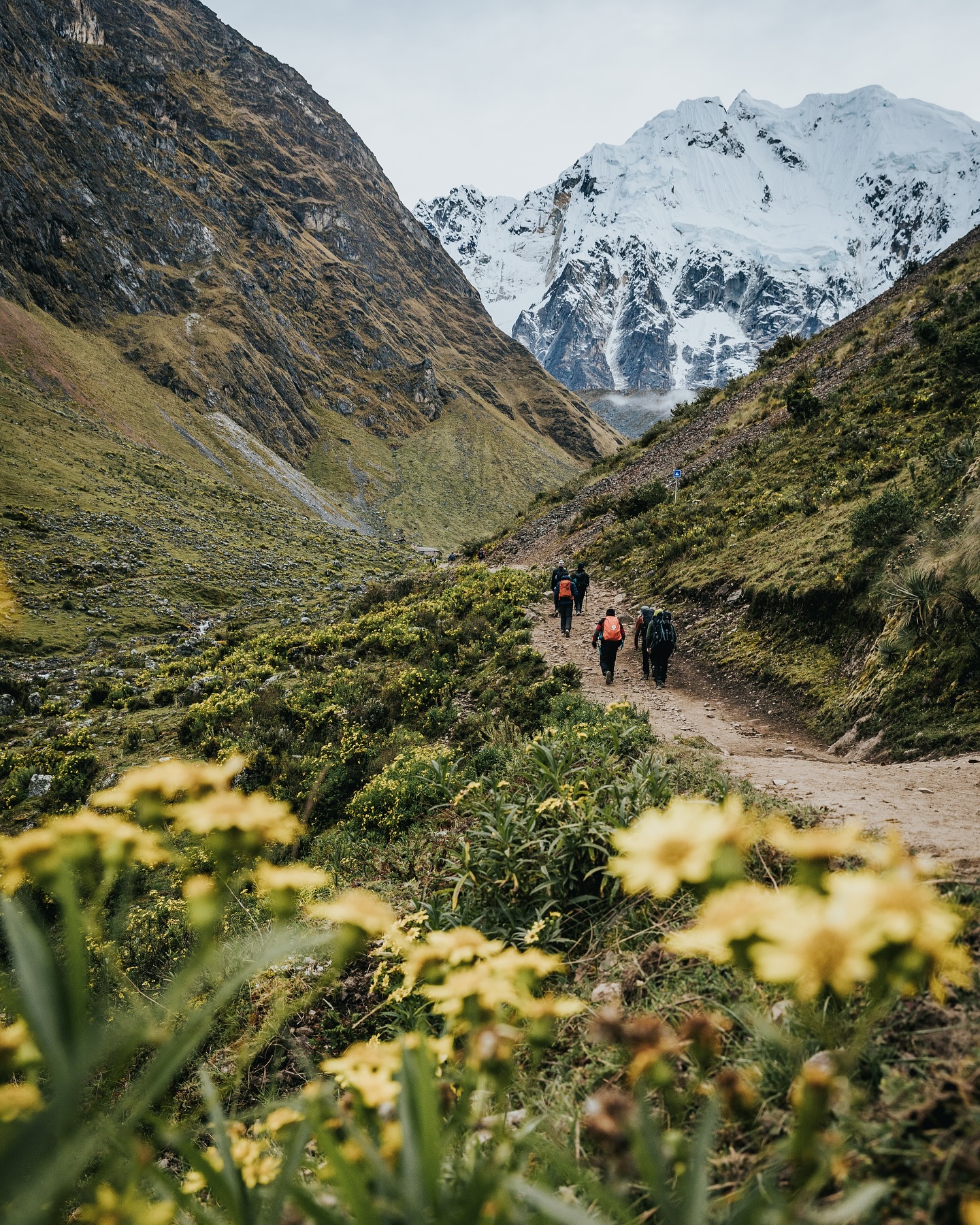 Salkantay Mountain Peak